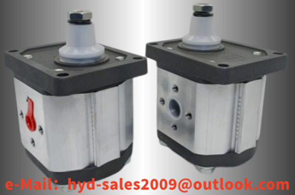 Модель и тип шестеренчатого насоса Duplomatic