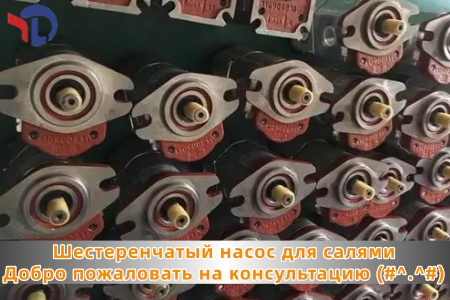 Гидравлический насос SALAMI