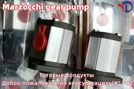 Шестеренчатый насос Marzocchi